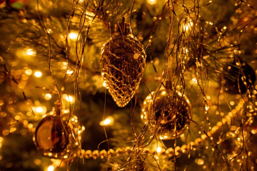 christmas-tree-6924746_1920